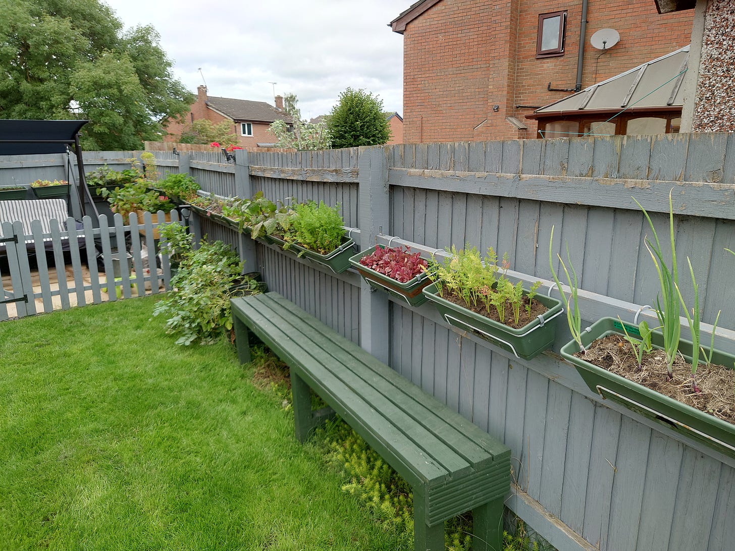 Photo of veggies in balcony boxes on the fence