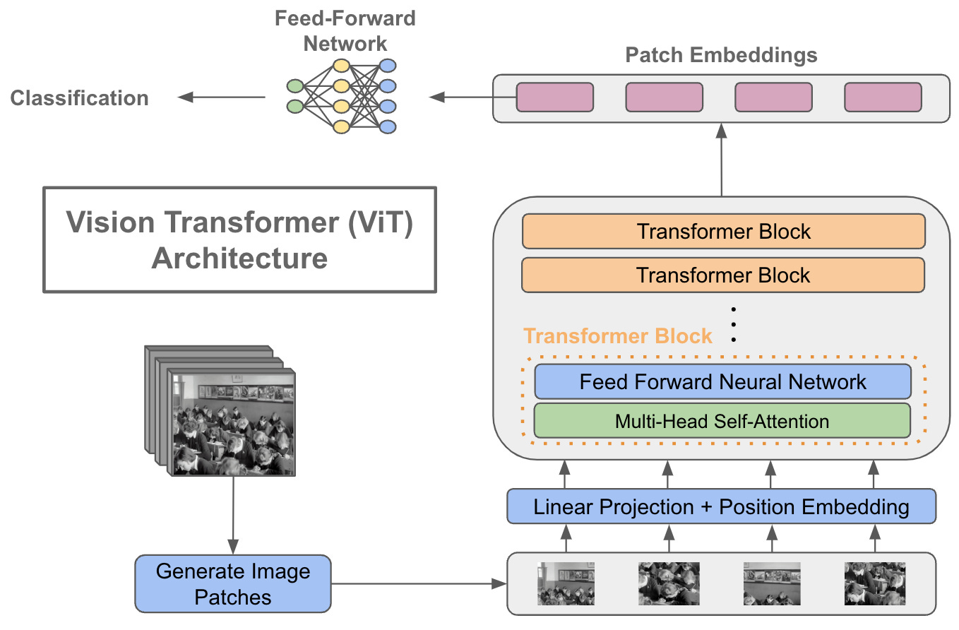 Using Transformers for Computer Vision | by Cameron R. Wolfe, Ph.D. |  Towards Data Science