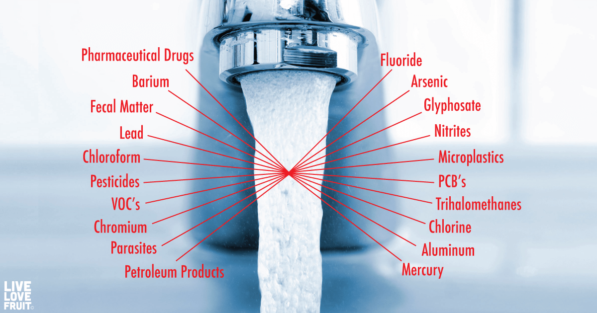 Chemicals in Tap Water: The Shocking Truth of What You're Really Drinking -  Live Love Fruit