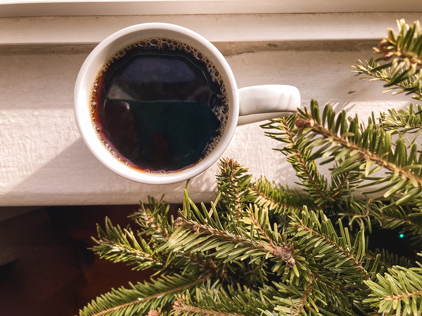 Coffee in a white mug, sitting on a dirty window sill next to a pine tree.