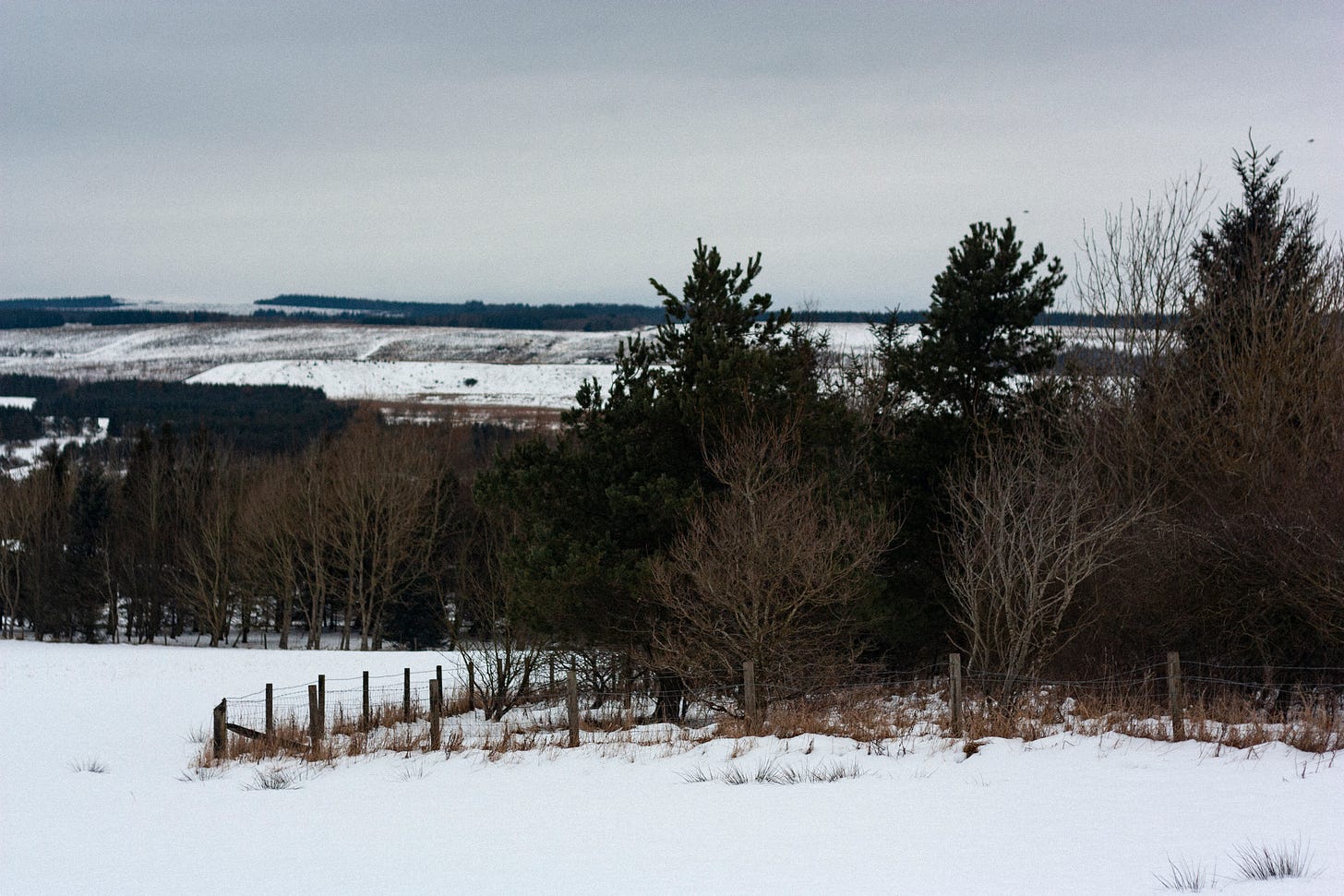 Photograph of a snow covered field, a small copse of trees are seen in the foreground, a snow peppered hill fills the background.
