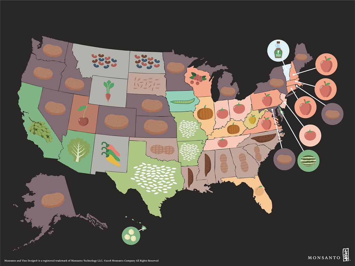 Main Crops Grown in each State of the United States of America | by Frank  Krambule | Medium