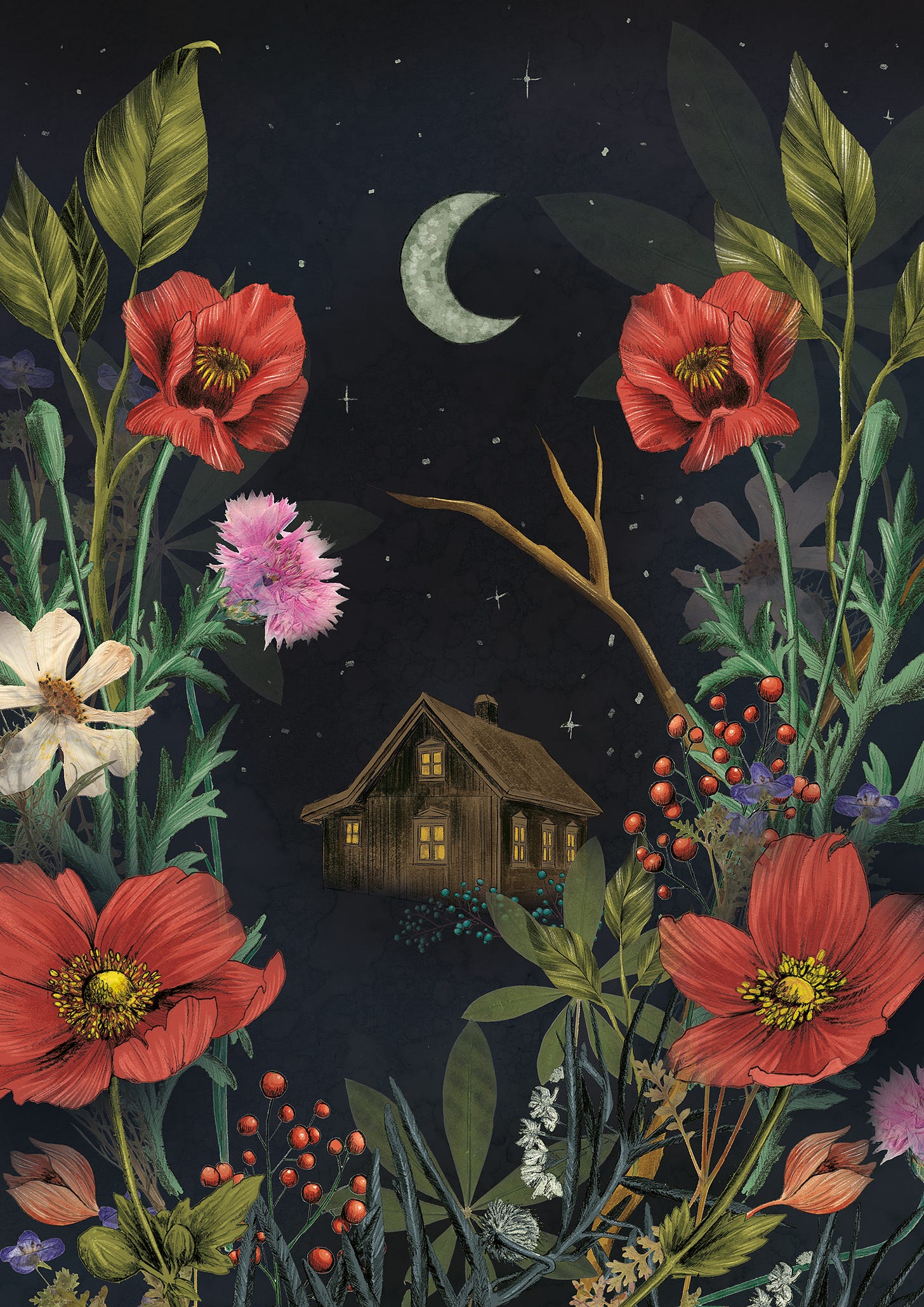 illustrations of a house surrounded by nature by la scarlatte pauline teunissen