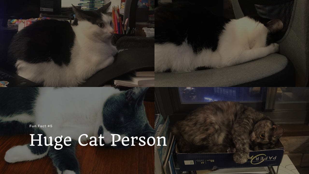 Presentation slide with several cat collages