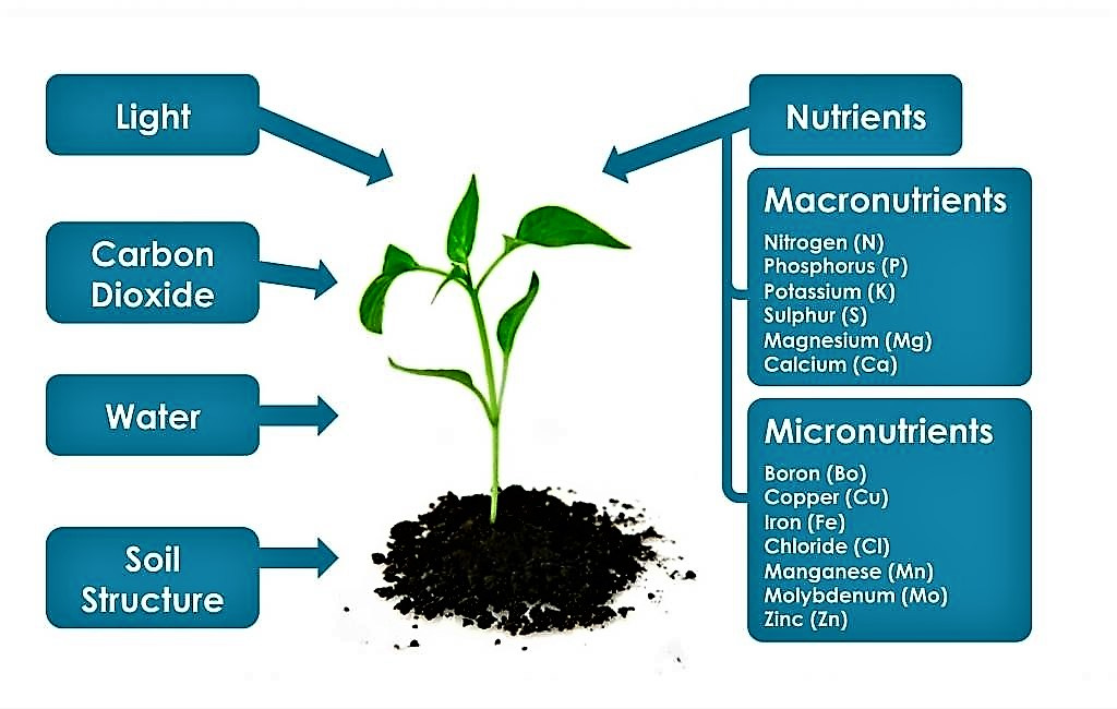 Nutrient Requirements | SSWM - Find tools for sustainable sanitation and  water management!