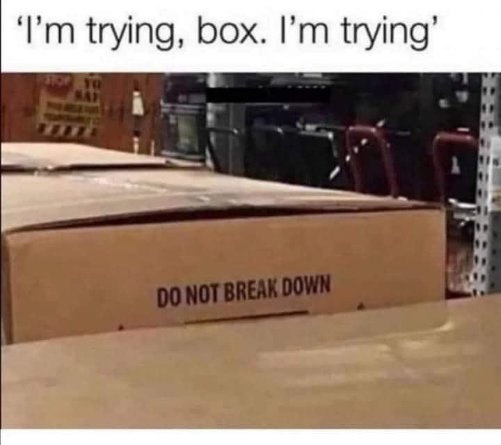 May be an image of text that says ''I'm trying, box. I'm trying''