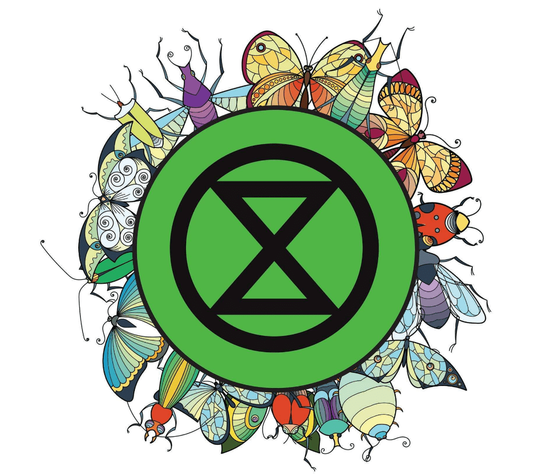 Extinction Rebellion poster: insects