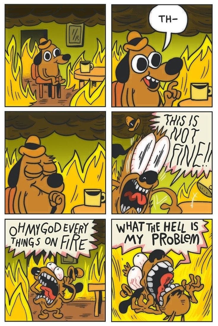 Pin by liv lab on Crypto coins | This is fine dog, Cartoon memes, Stupid funny memes