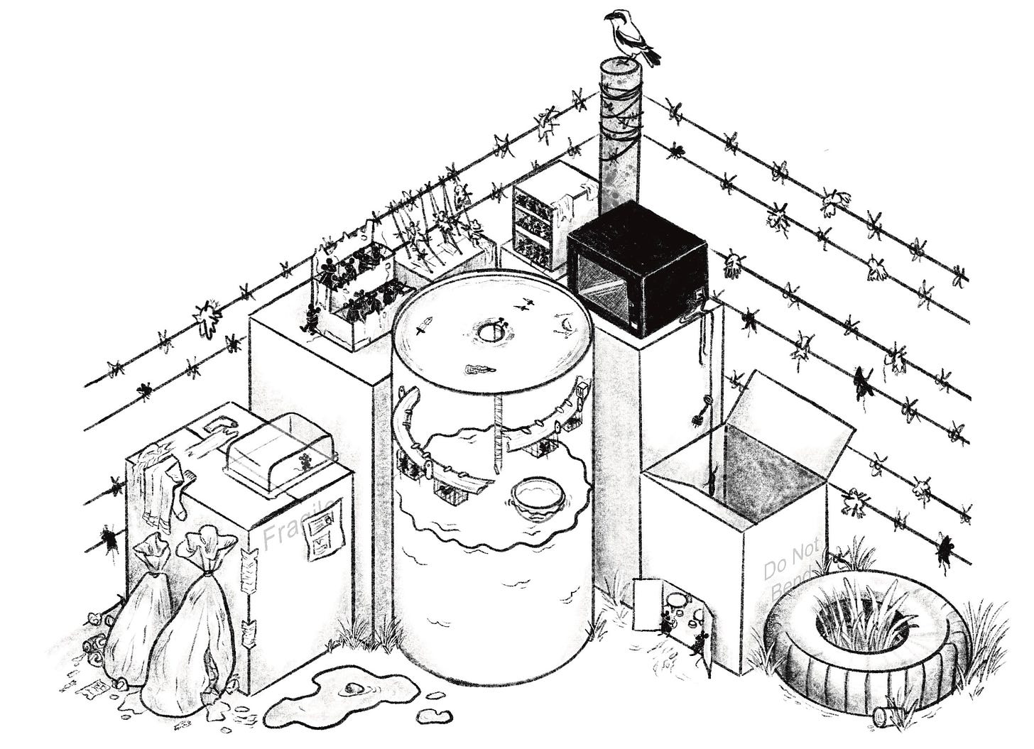 illustrative isometric map of a corner of a junkyard. it includes a large oil barrel that has been turned into a gladiatorial arena, surrounded by cardboard box stands full of rats. To the left is a mouse trapped in a tupperware box, and some overflowing rubbish bags. to the right is a cardboard box being used as a restaurant and casino. To the far right is a car tire filled with overgrowing grass. the entire junkyard is enclosed by a barbed wire fence which has various small birds and mice impaled on it. On the fence post sits a shrike, a bird of prey which surveys the junked for her next prey.