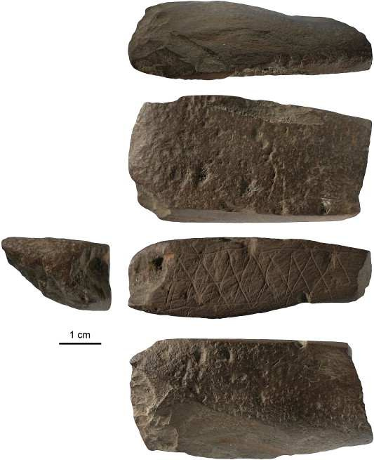 Henshilwood et al 2009 figure 8 Henshilwood et al 2009 figure 8