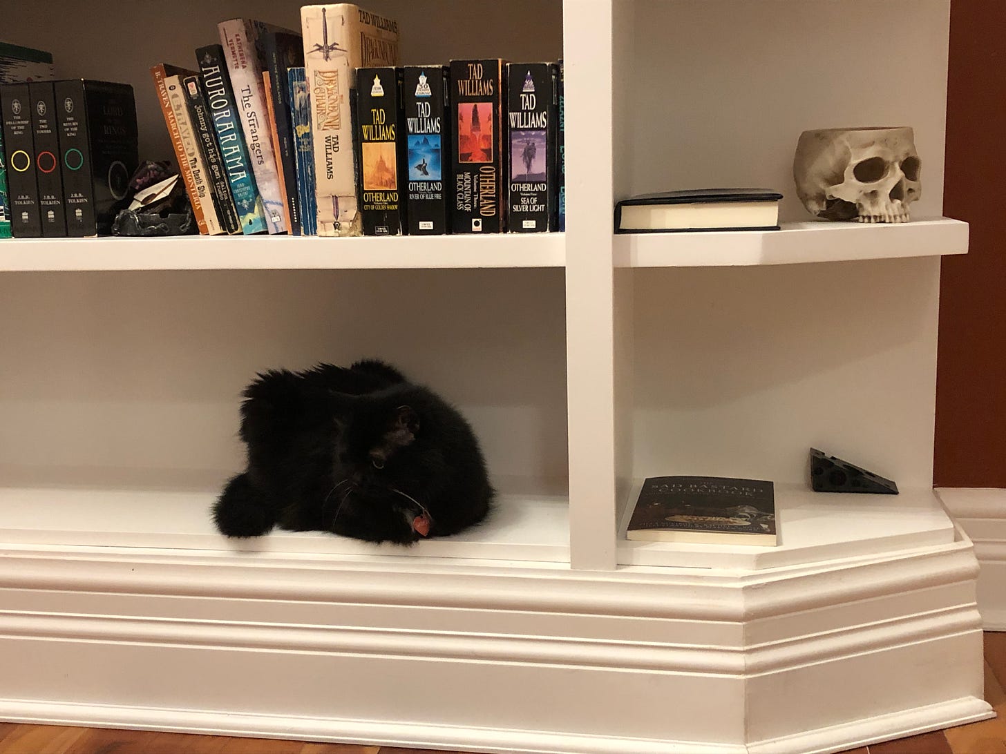 A white bookshelf with a row of books (from Tolkien to Tad Williams). There's a copy of the Sad Bastard Cookbook as well. And a skull. Most importantly, Sabot, a fluffy black cat, is curled up on the bottom shelf.