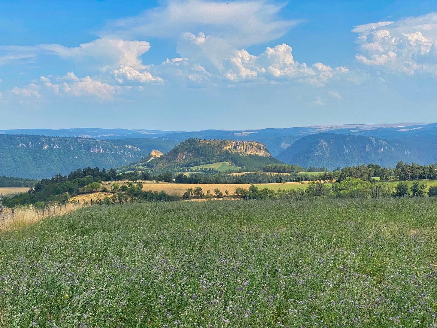 Mesa Mesa