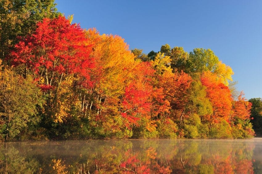 Fall Color Conspiracy - - The Adirondack Almanack