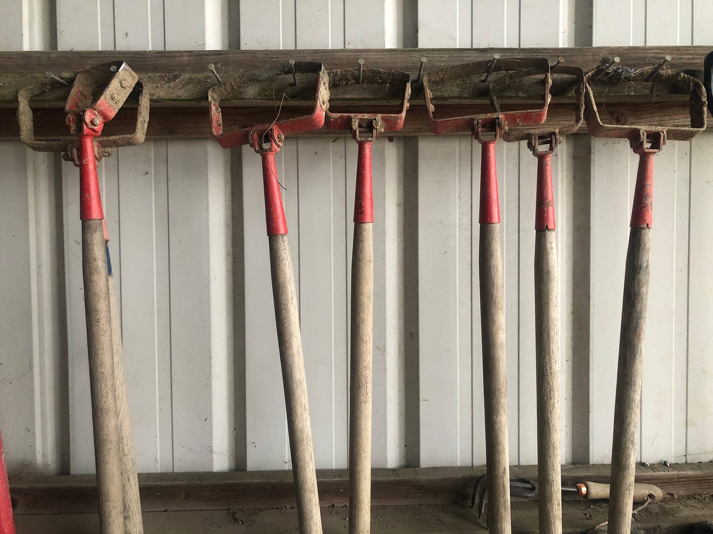 a row of hoes -- wooden poles with red metal "stirrups" on the end -- hanging from a row of nails against a white corrugated metal wall