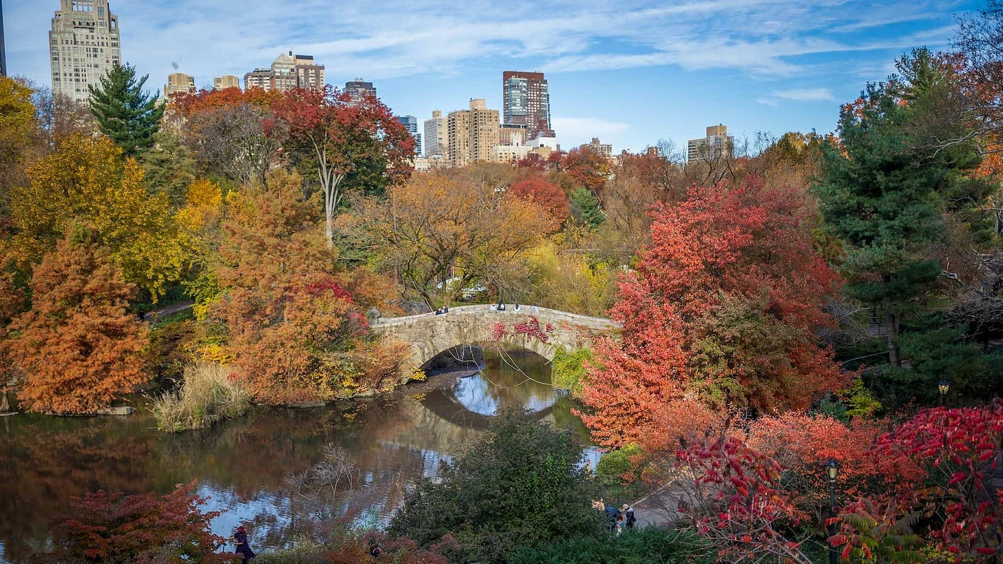 New York City in October: 51+ Exciting, Fun, and Spooky Things to Do in  2023 - Adventuring Dreamers