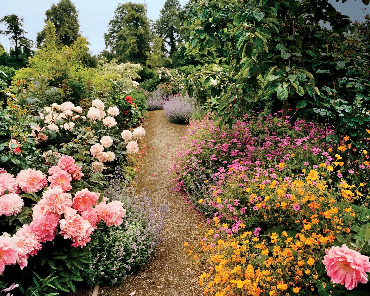 Photo of a private garden in full bloom, with a meandering path running down the middle with pink, white, and yellow flowers growing on either side. Photo of a private garden in full bloom, with a meandering path running down the middle with pink, white, and yellow flowers growing on either side.
