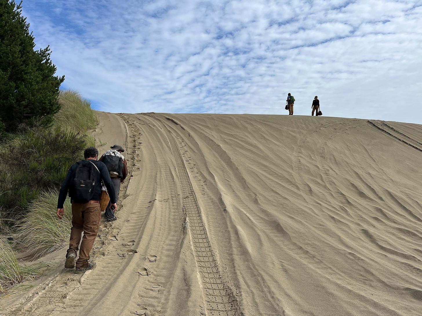 people climbing up steep sand dune people climbing up steep sand dune