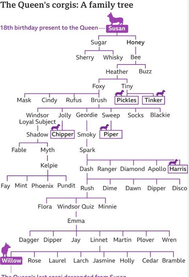 The Royal family tree