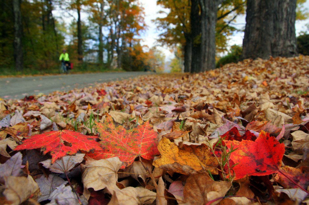 Gorgeous fall morning in Vermont near Montpelier. Some of the fallen leaves still have color and there are plenty remaining on the trees.