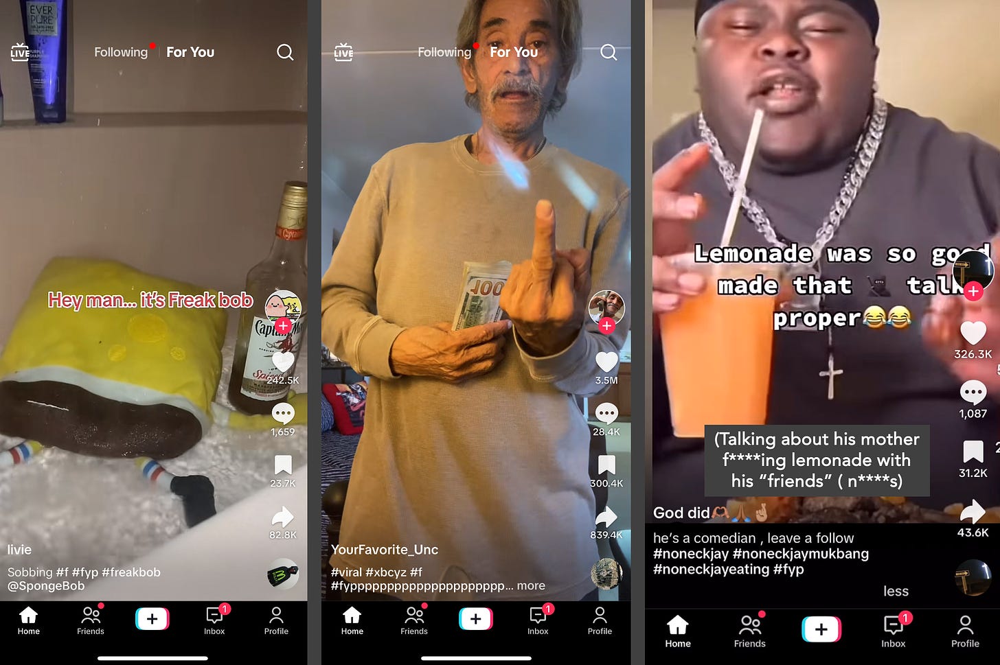 TikTok Screen Shots - Protect Young Eyes