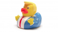 A yellow rubber ducky

Description automatically generated