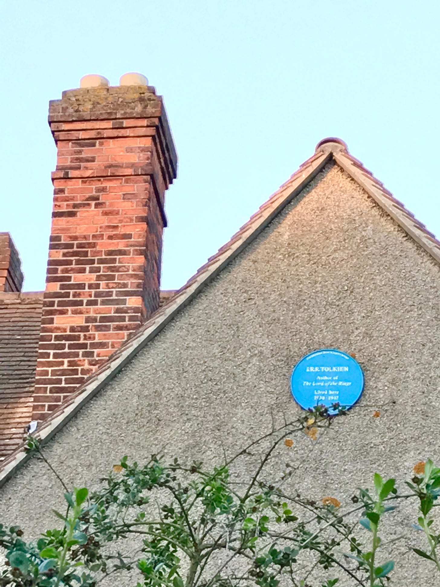 You can see the canes of a climbing rose on the wall near the blue plaque on 20 Northmoor Road.