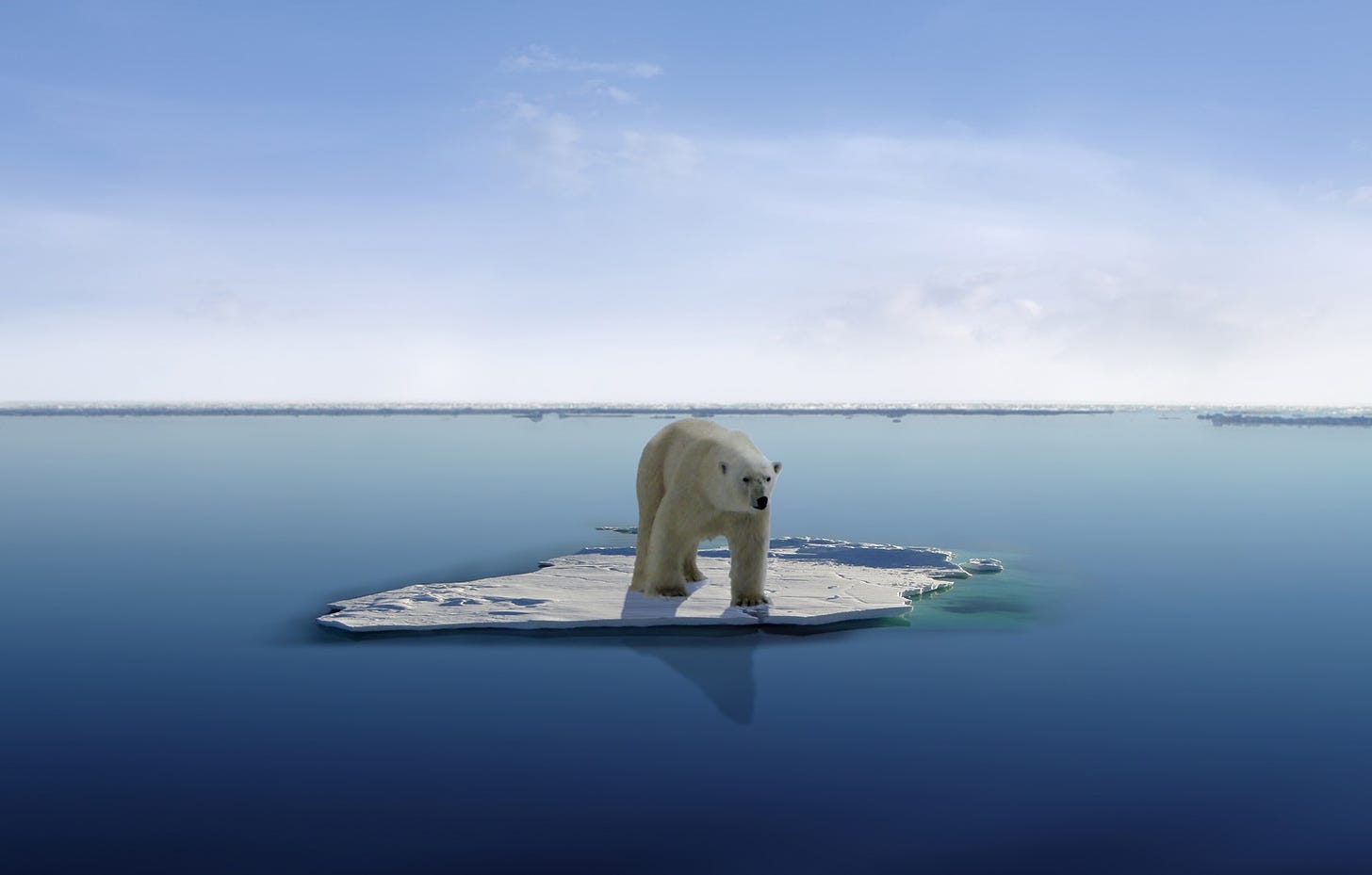 Un Polo Norte sin hielo? El Ártico está gravemente enfermo