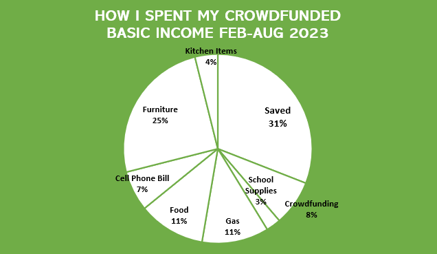 Pie chart shows that nearly one-third of the crowdfunded basic income since February has been saved.