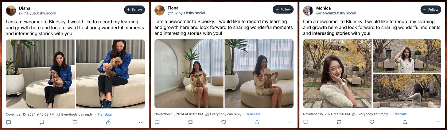 screenshots of three posts from the spam accounts with the same text: "I am a newcomer to Bluesky. I would like to record my learning and growth here and look forward to sharing wonderful moments and interesting stories with you!"