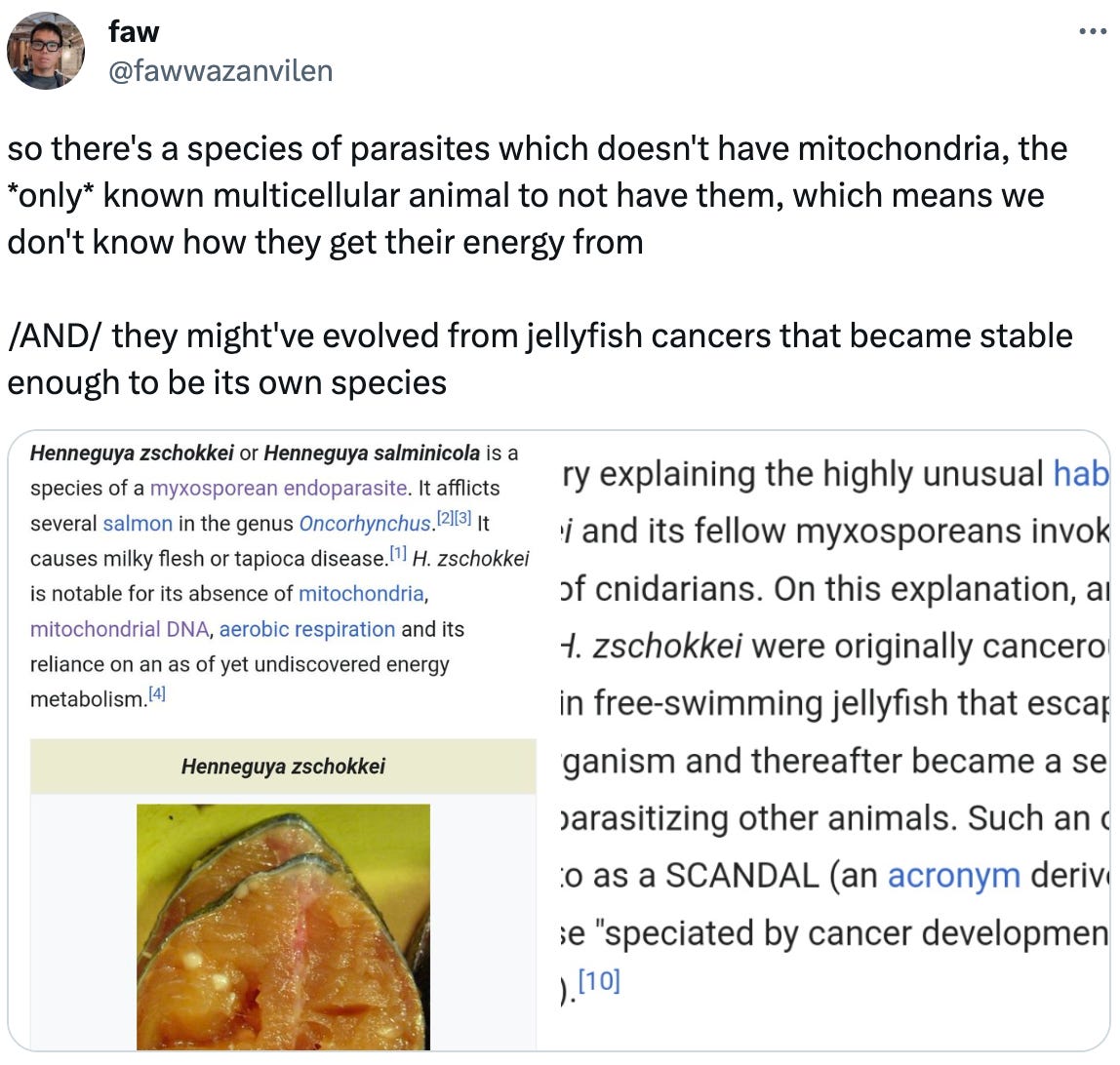  faw @fawwazanvilen so there's a species of parasites which doesn't have mitochondria, the *only* known multicellular animal to not have them, which means we don't know how they get their energy from  /AND/ they might've evolved from jellyfish cancers that became stable enough to be its own species