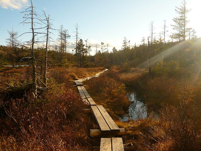 File:Lonesome Lake Trail, NH - panoramio.jpg