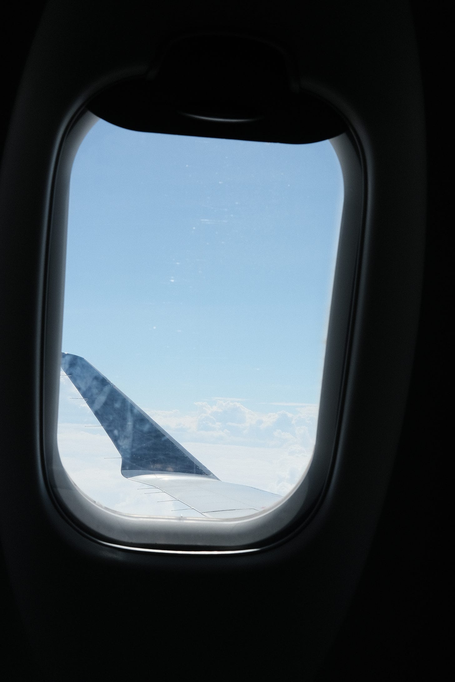 Solo travel stories airport saga flight to australia by food and travel writer Courtney Jill Bishop.