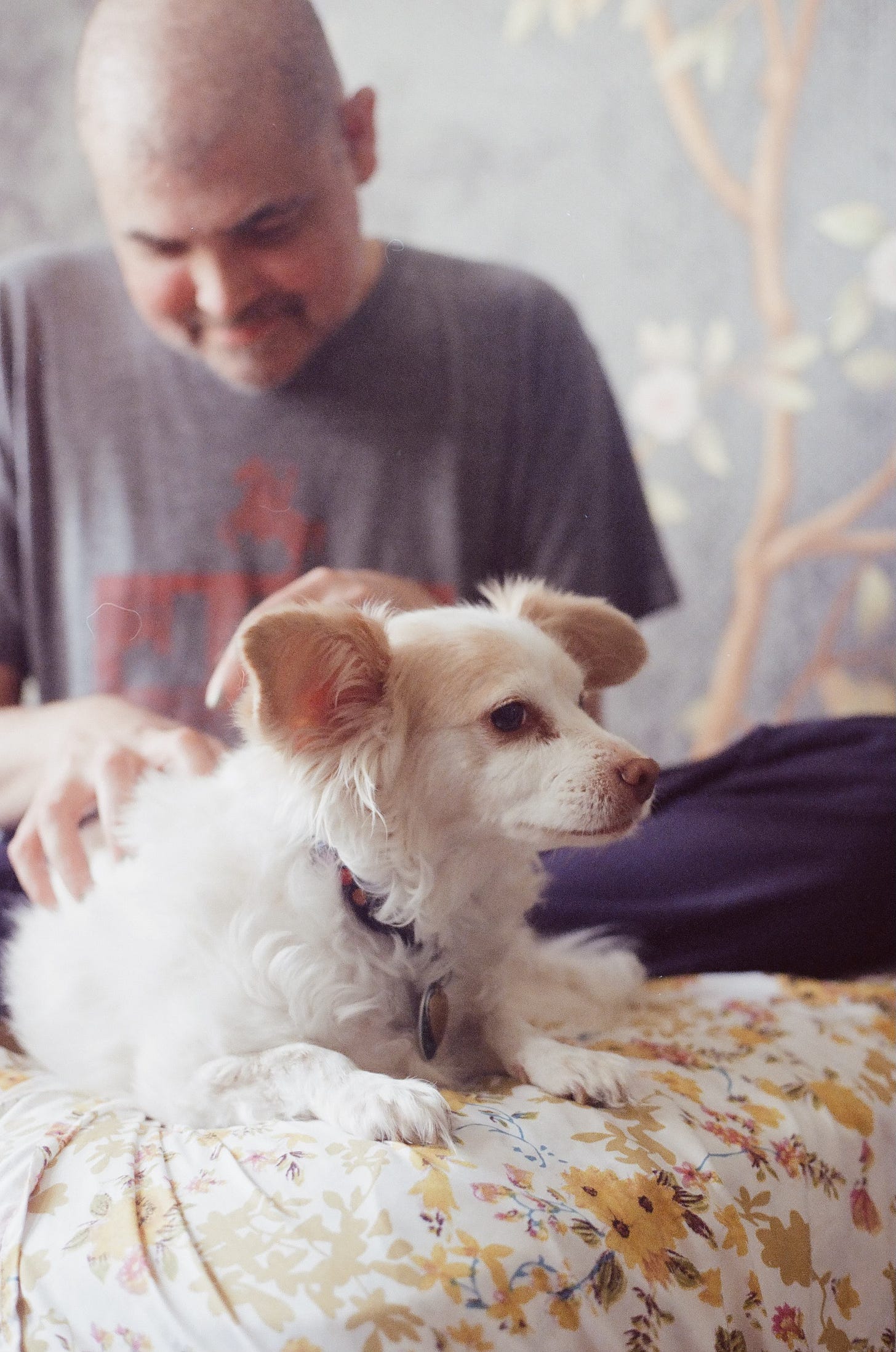 in the background, a fuzzy image of a bald man smiling while he pets a fluffy dog in the foreground. they are both sitting on a bed with a floral bedsheet