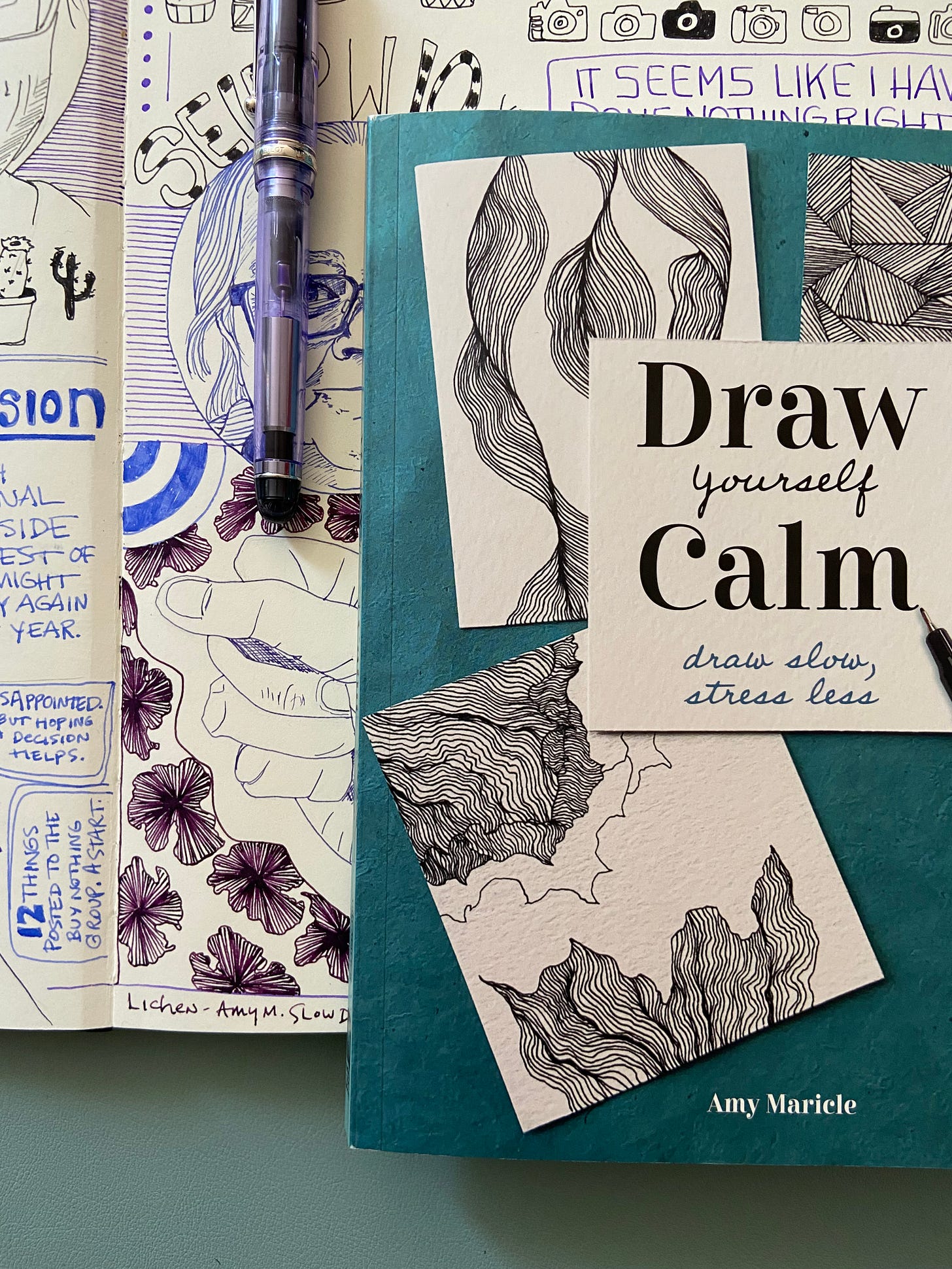 The cover of Draw Yourself Calm: Draw Slow, Stress Less by Amy Maricle