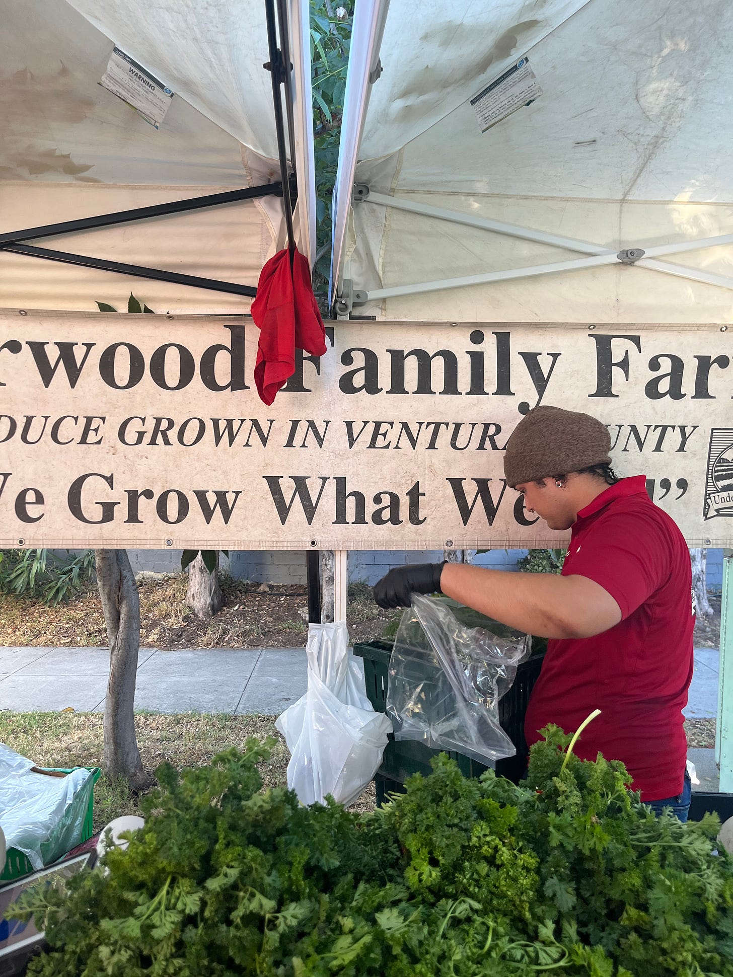 Farmer's market vendor filling a bag with carrot tops.