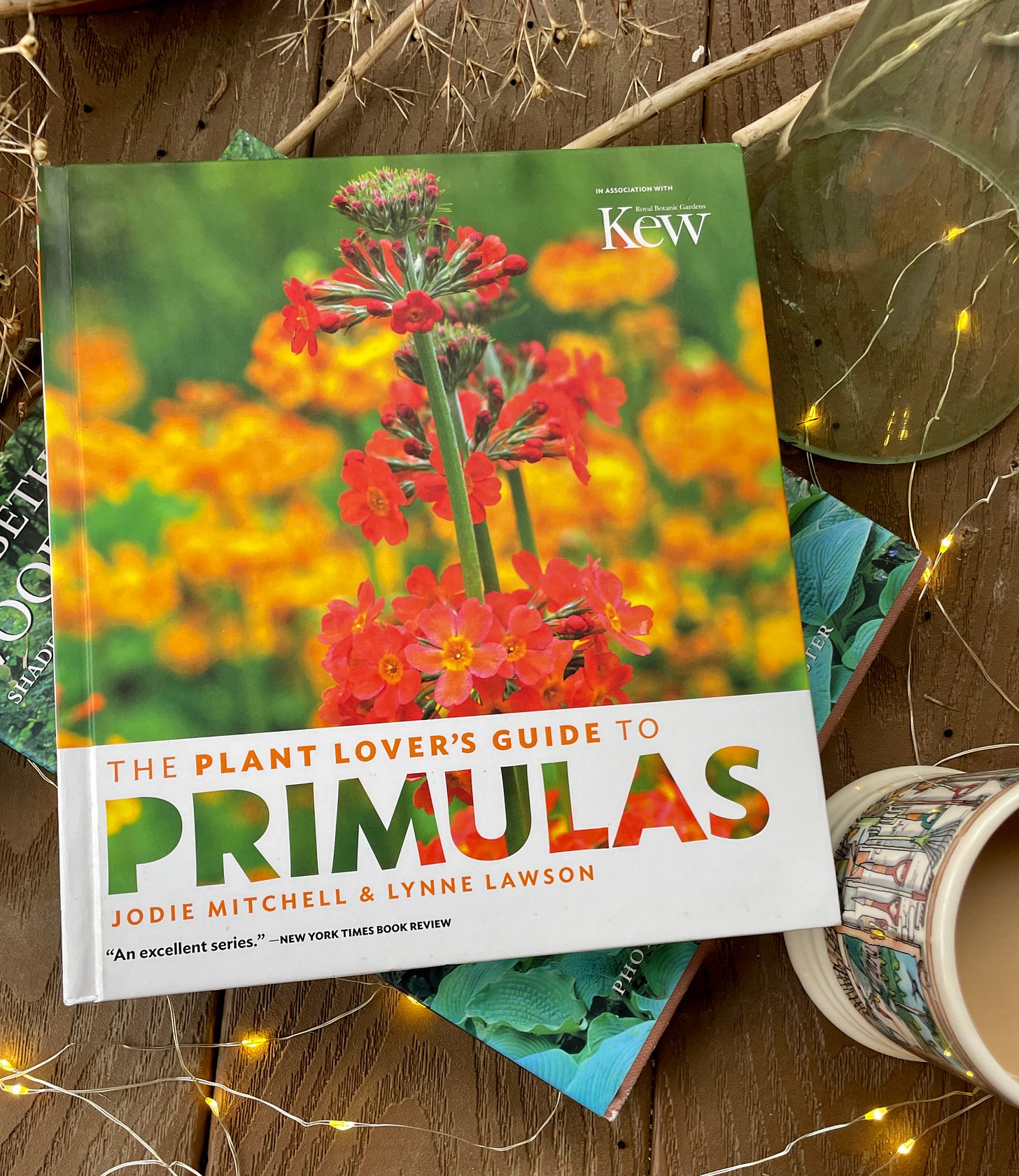 The Plant Lover's Guide to Primulas by Jodie Mitchell & Lynne Lawson