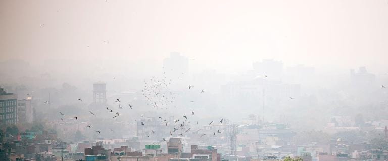 Photo of urban smog in India Photo of urban smog in India