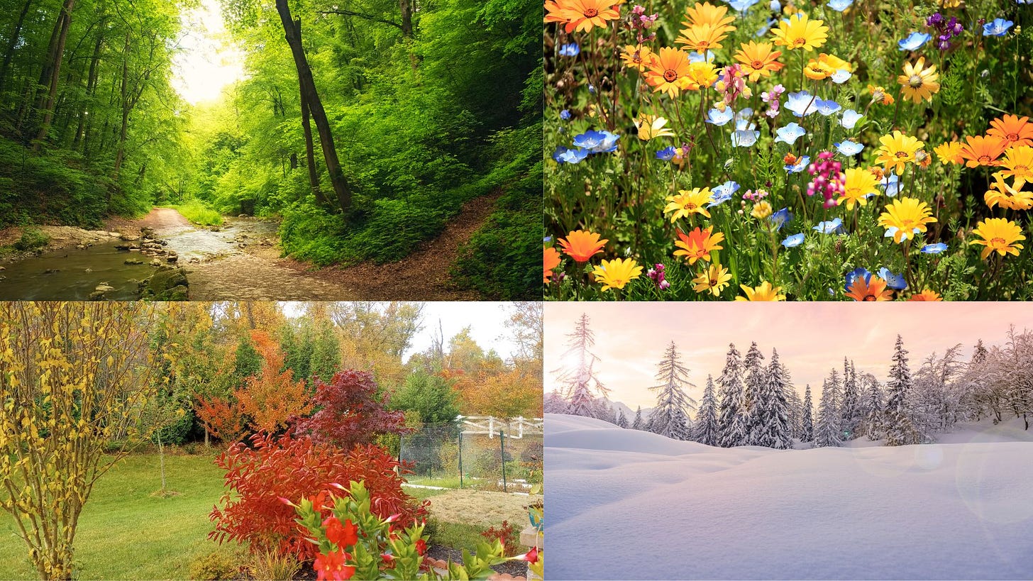 Nature's Beauty in Four Seasons