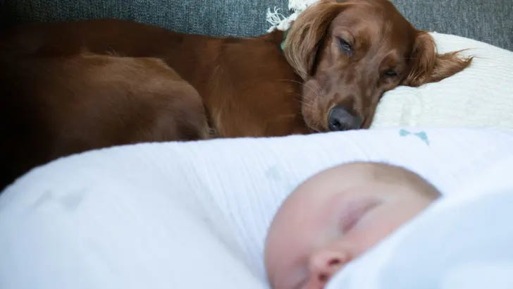Who Names an Irish Baby? Who Names an Irish Baby?