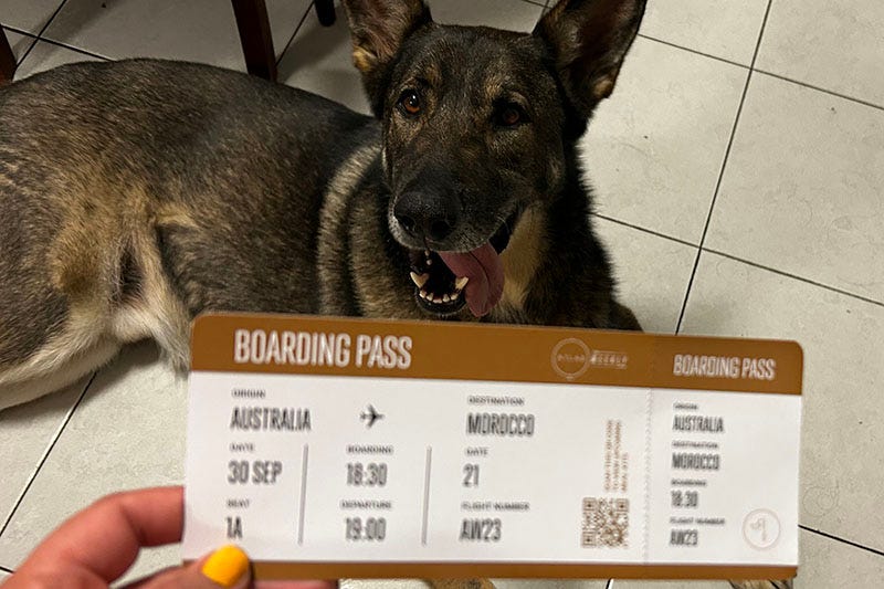 A hand with yellow nail polish holds up a 'boarding pass' for Atlad Weekly. A dog sits in the background.