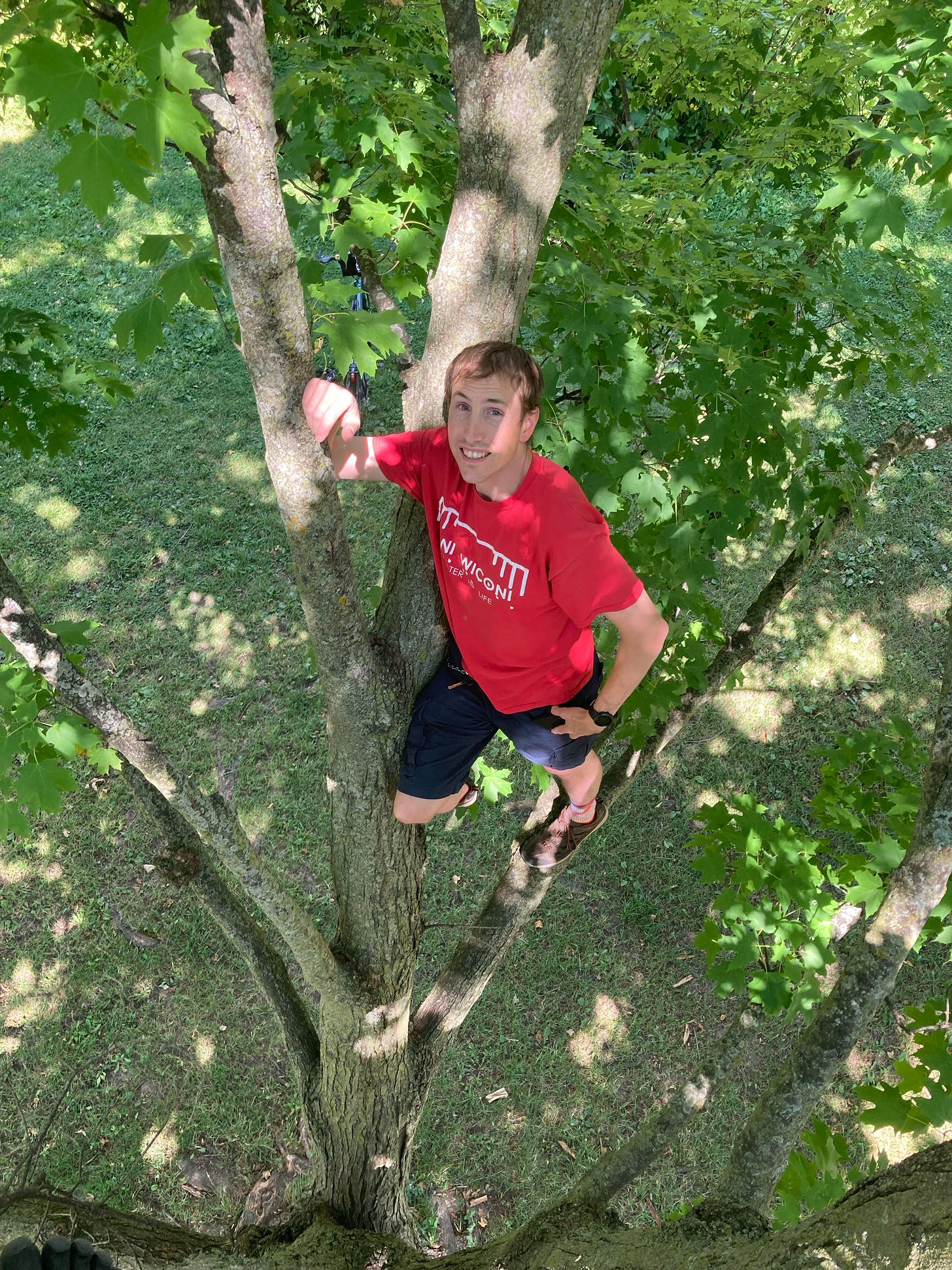 A photo of my friend Carl in a tree, leaning against some branches.