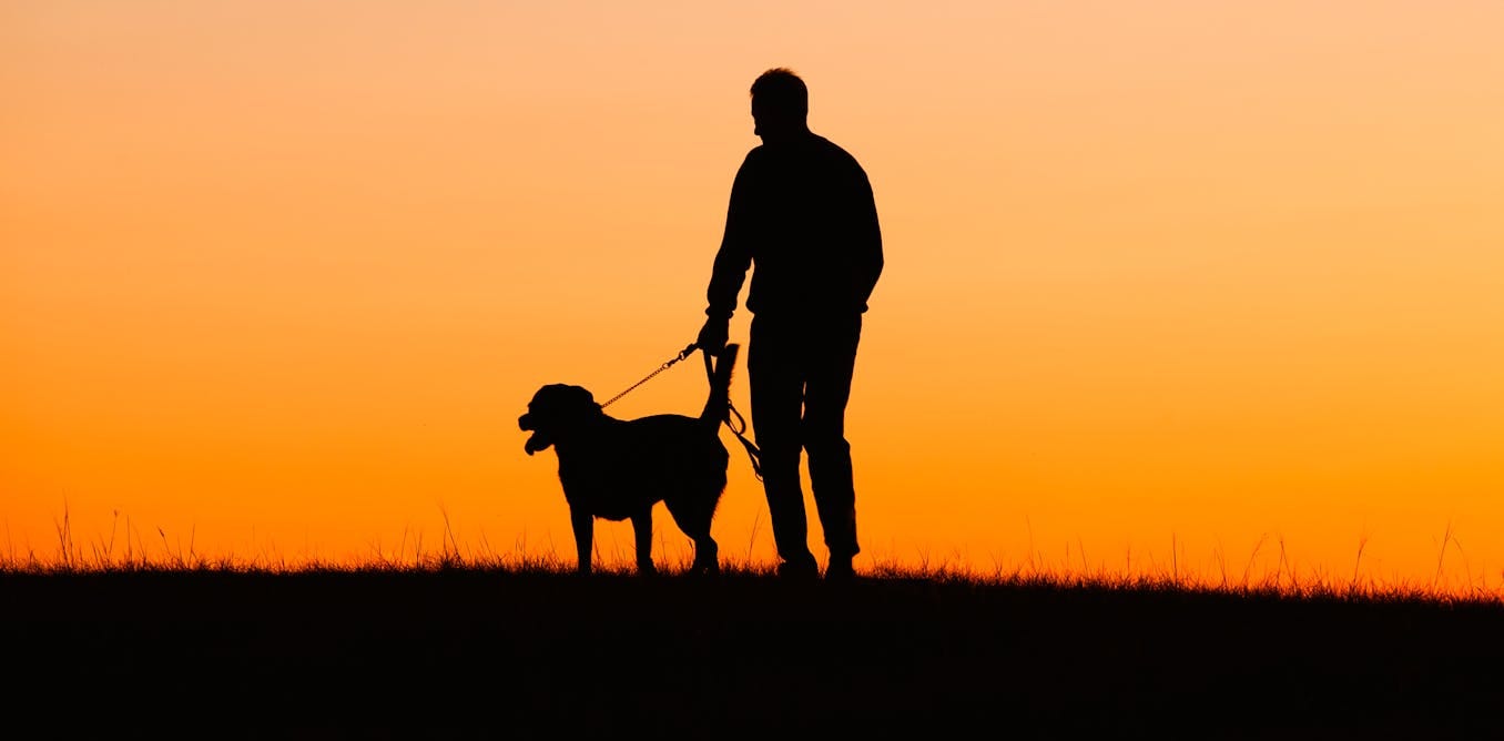 Por qué perder a un perro puede ser más duro que perder a un familiar o a  un amigo?