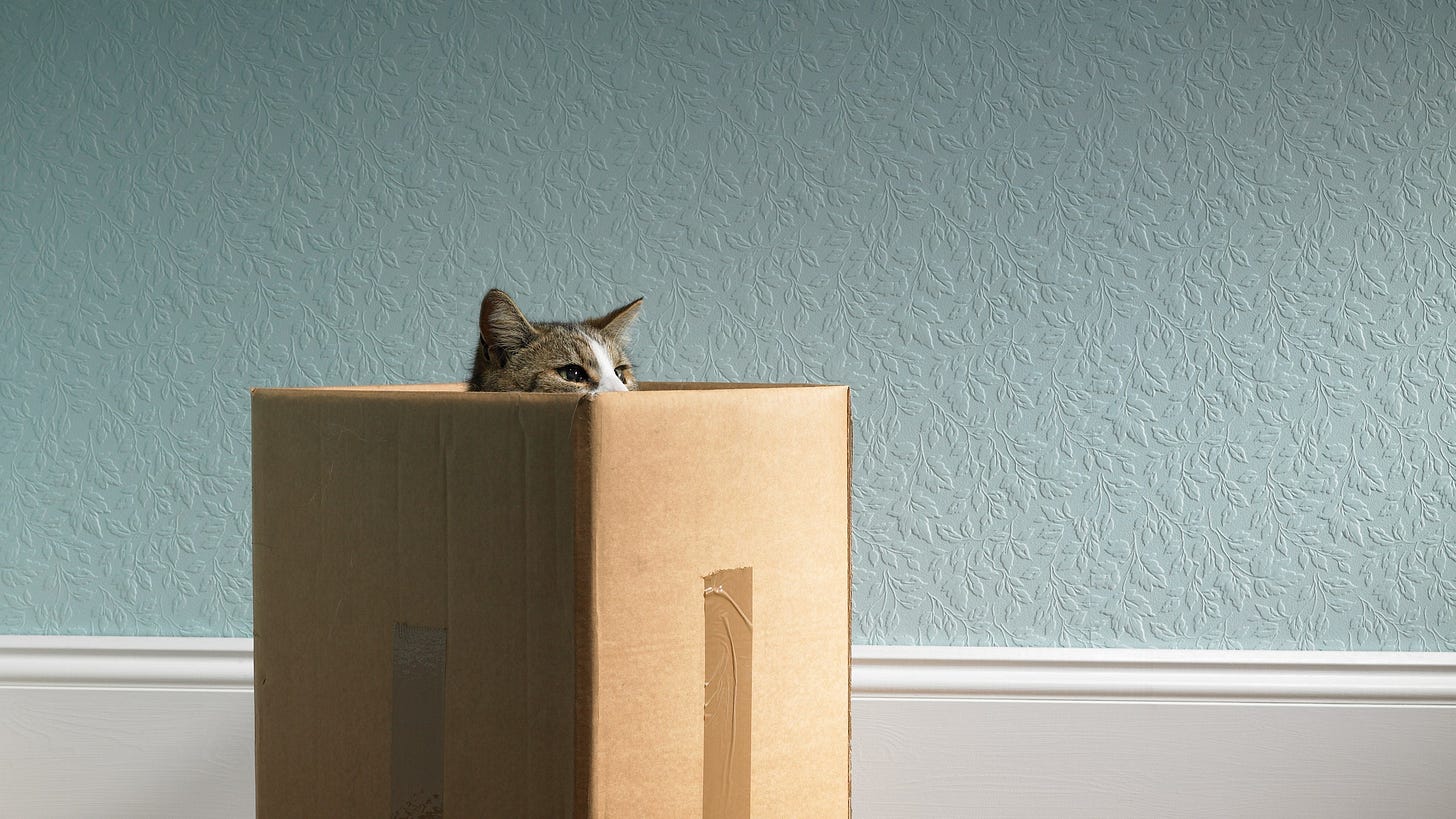 Gatto di Schrödinger