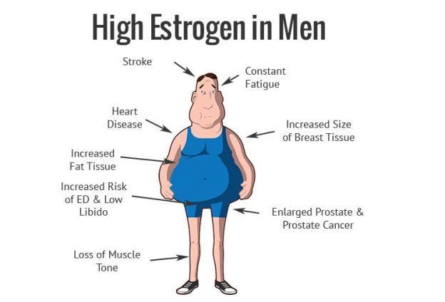 Estrogen is a Bitch | 100% Reliable Articles
