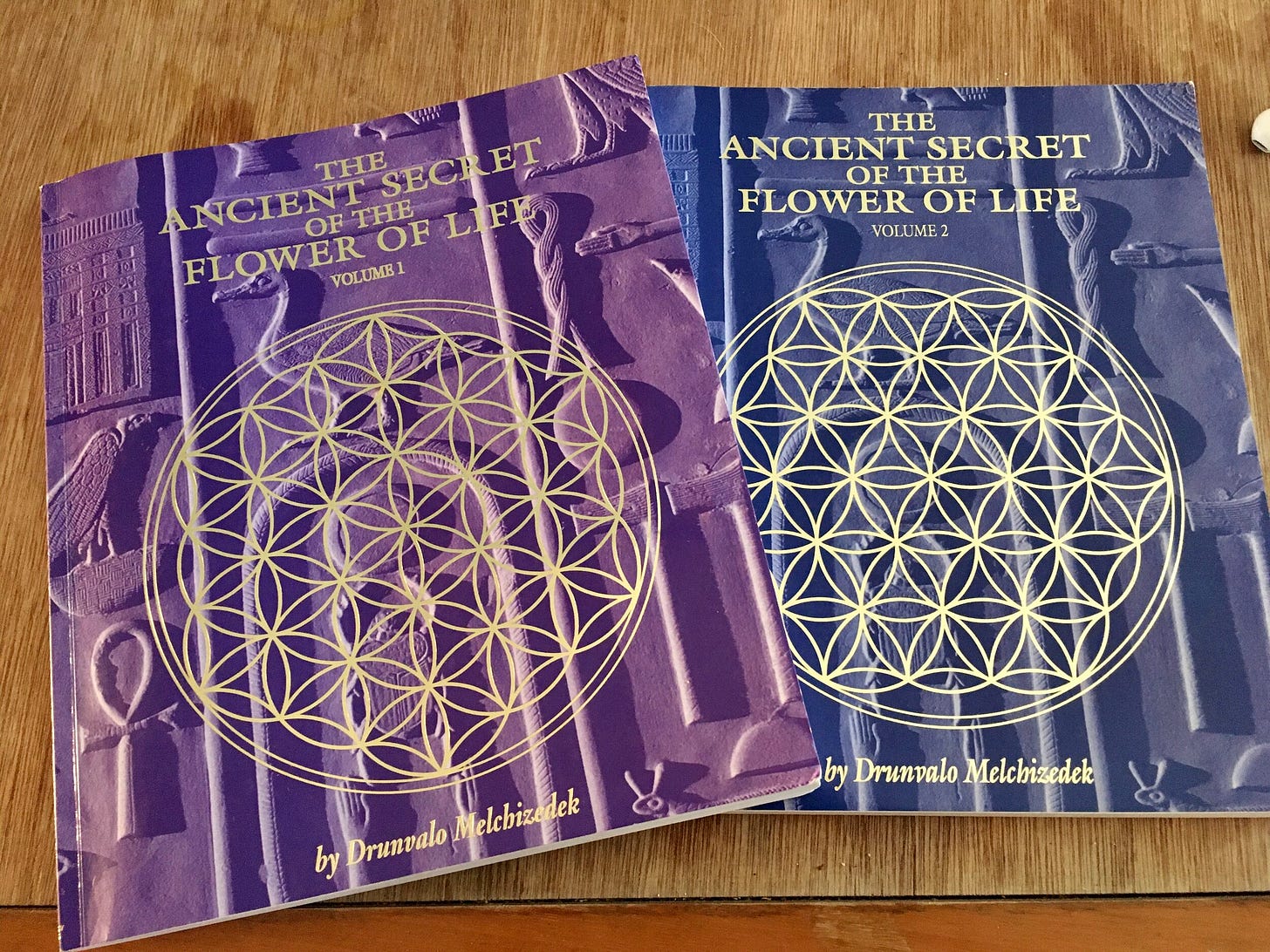 Why is the Flower of Life everything? — LIVING IN MANA