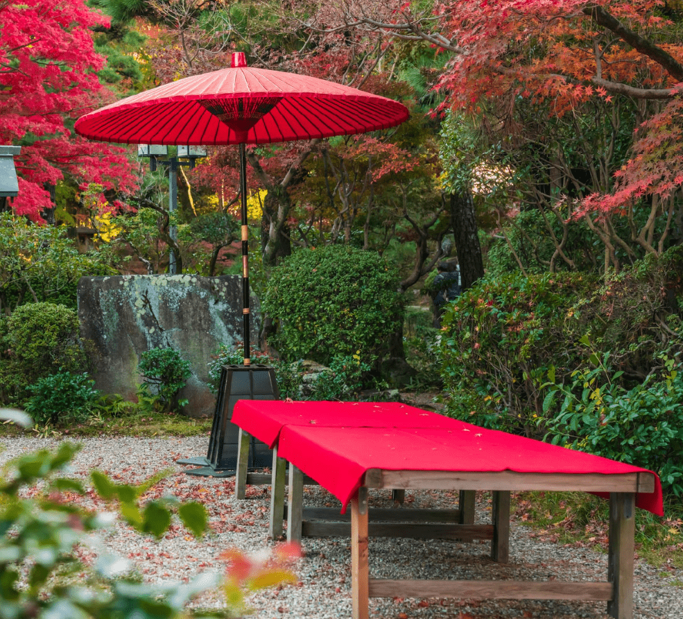 Nodate Experience at Kokyo Gaien National Garden