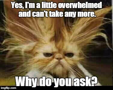frustration Memes & GIFs - Imgflip