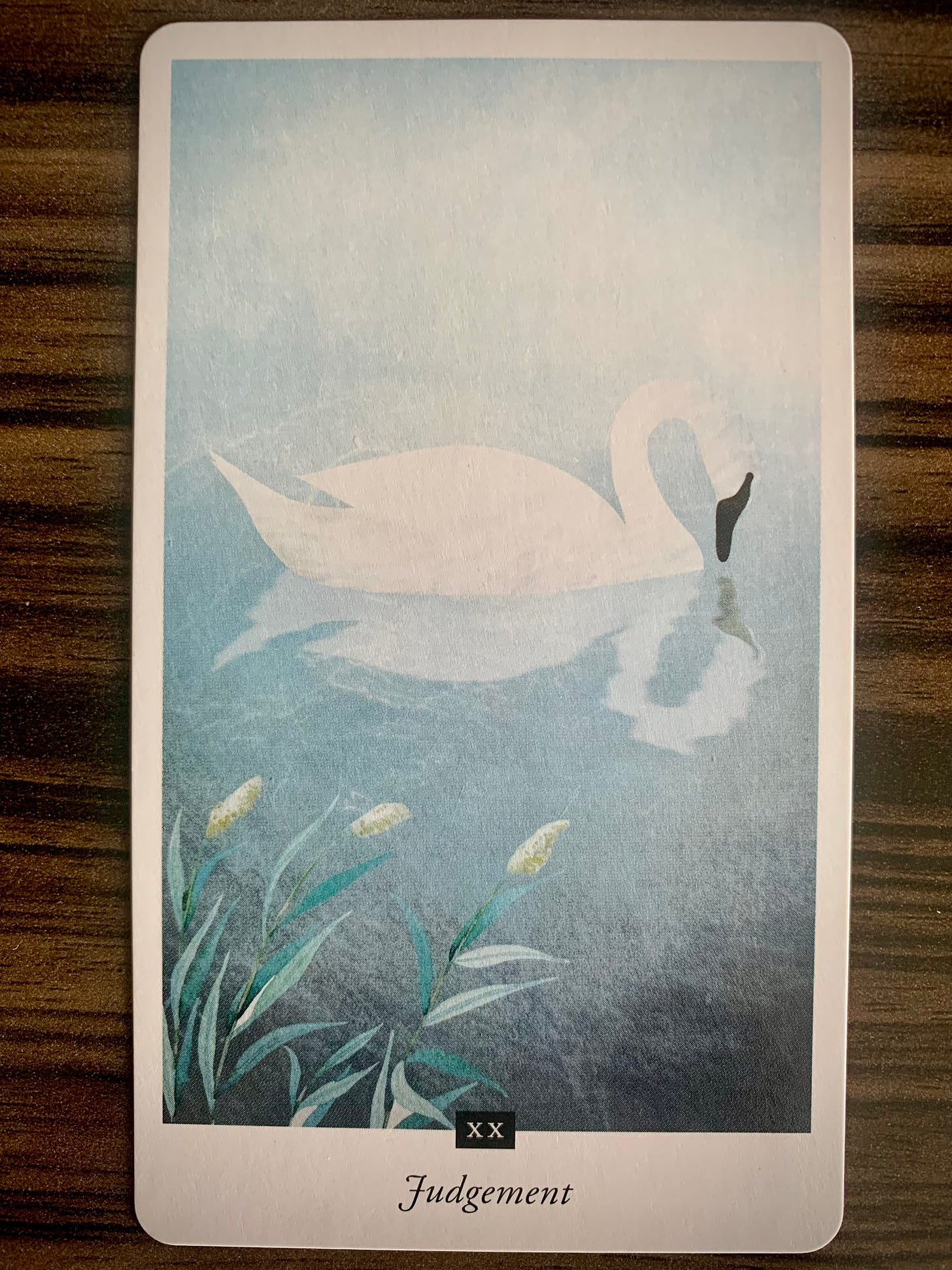 A tarot card on a wooden table. It depicts a swan looking at its own reflection in a pool of water.