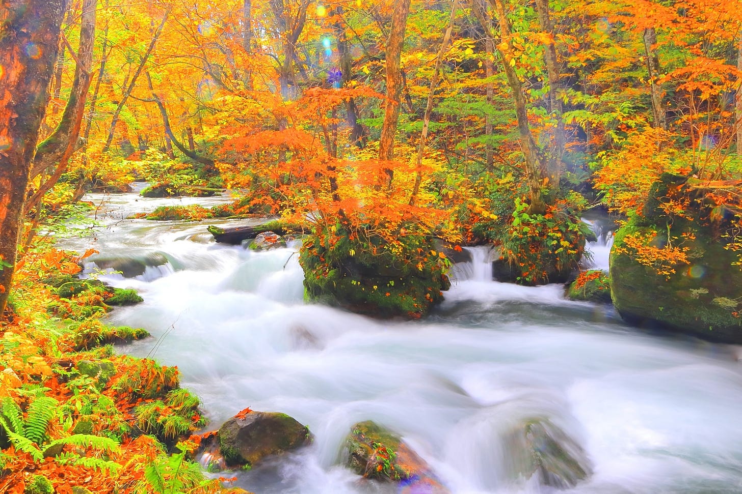 Autumn in Oirase Gorge at Towada-Hachimantai National Park