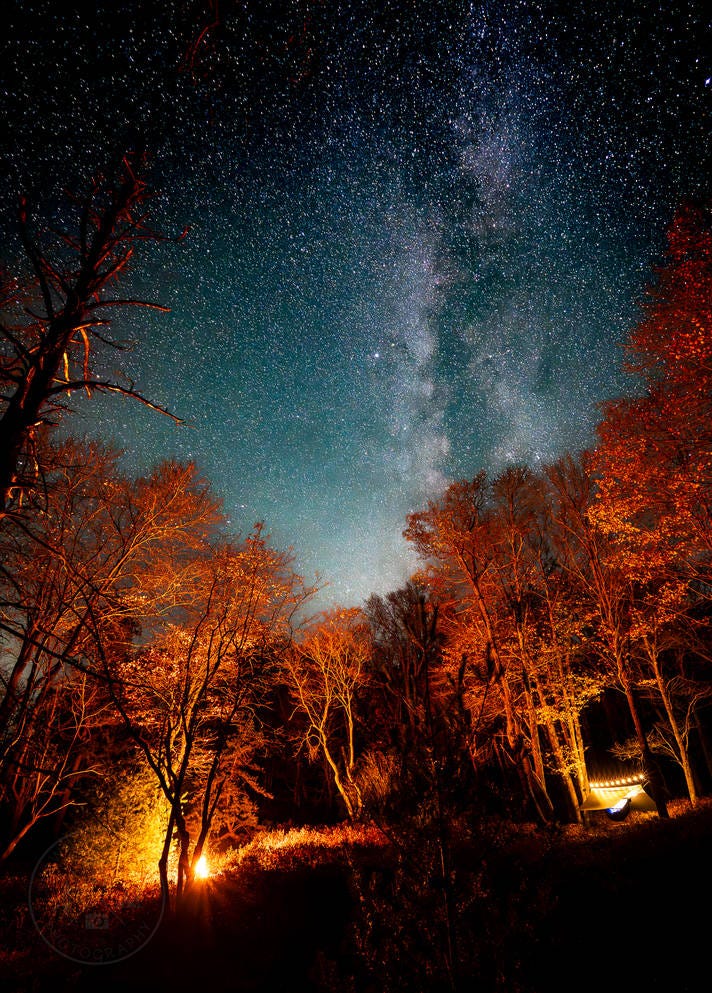 Pictures from Quehanna Wild Area 10 Trail Loop | MyHikes
